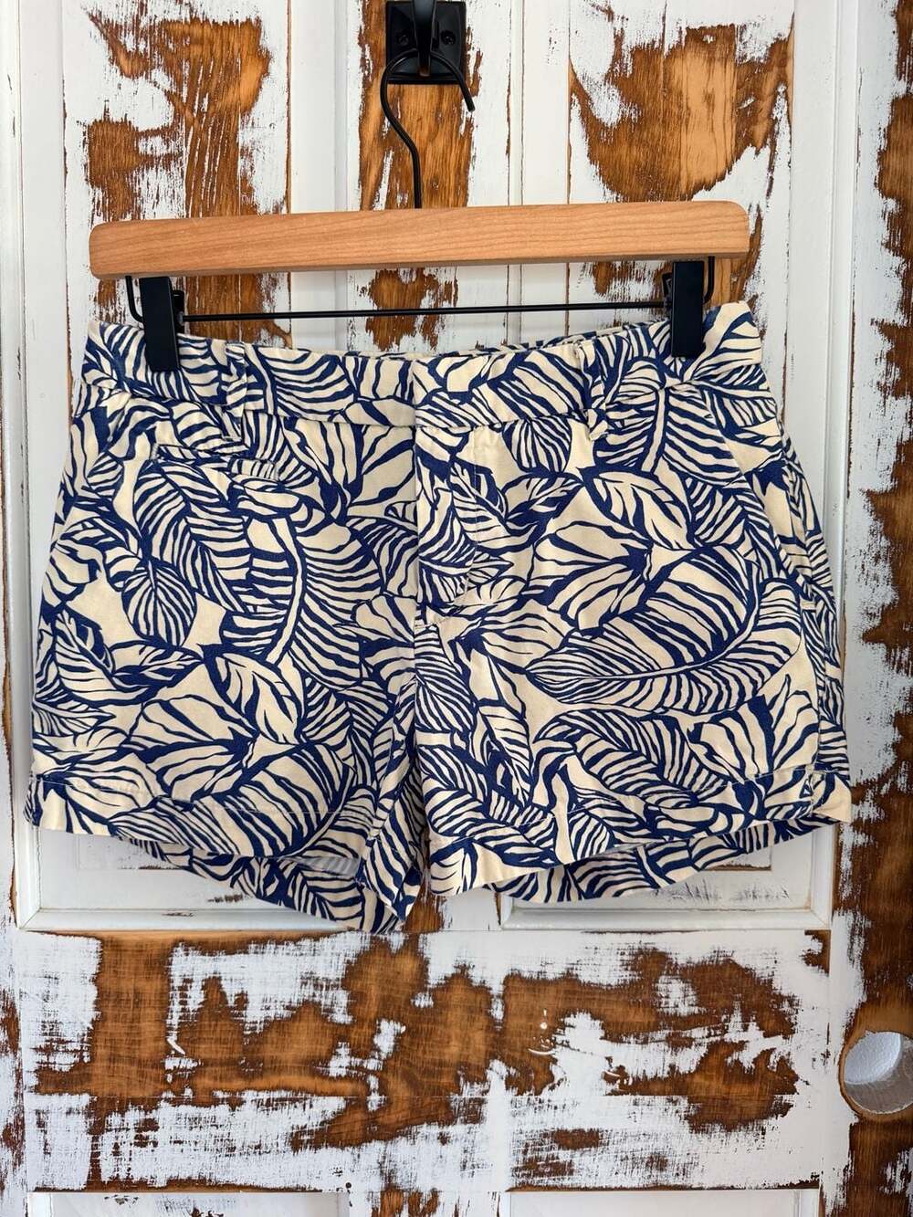 Patagonia Women’s Organic Cotton Shorts Size 2 Blue Cream Botanical Leaf Print